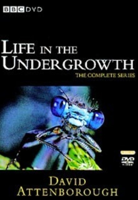 Life in the Undergrowth on BBC TV Show, Episodes, Reviews and List