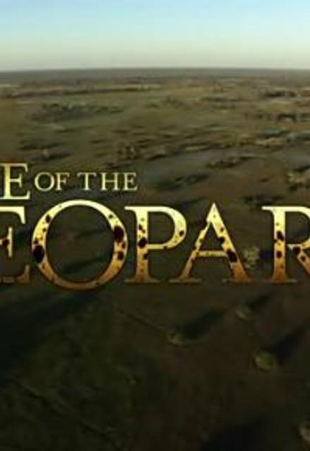 Top search results for "National_Geographic_-_Eye_of_the_Leopard